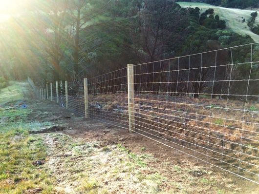Deer fence Netting fence