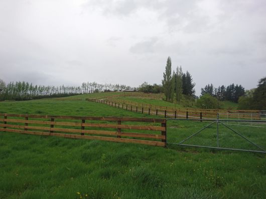 Equine post & rail Horse post & rail Horse fence