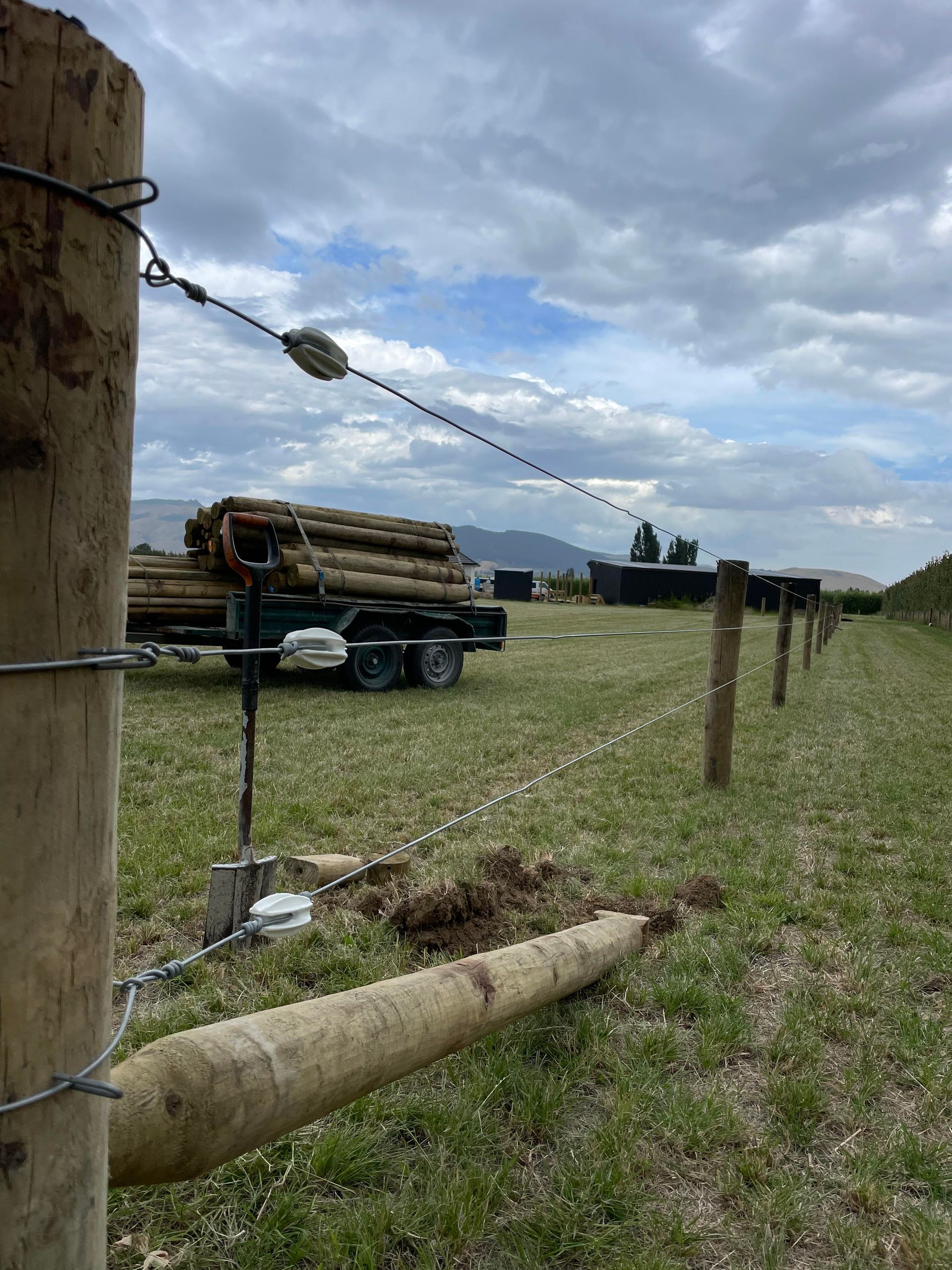 Horse fencing electric