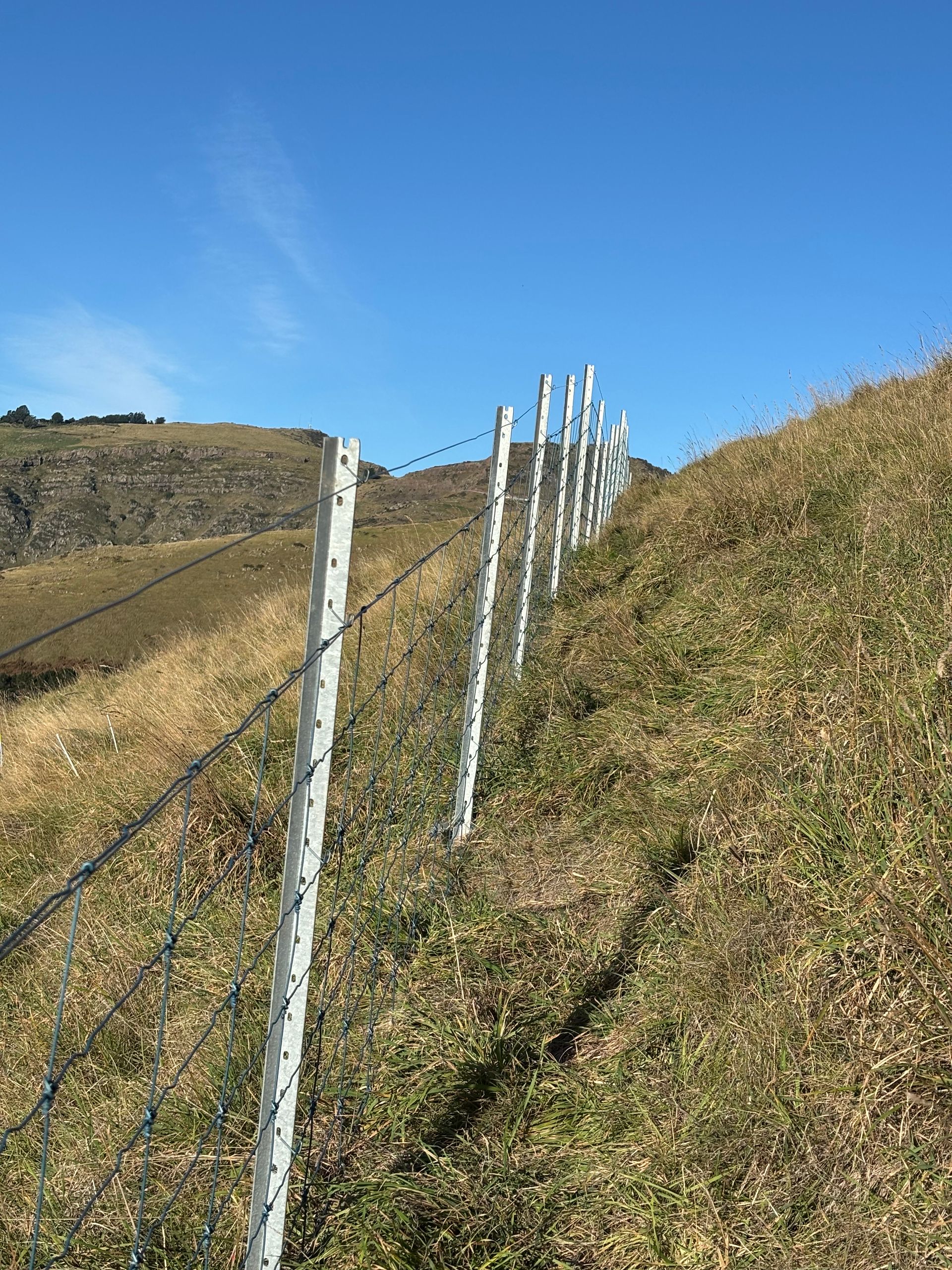 Livestock Fencing - Steep Faces