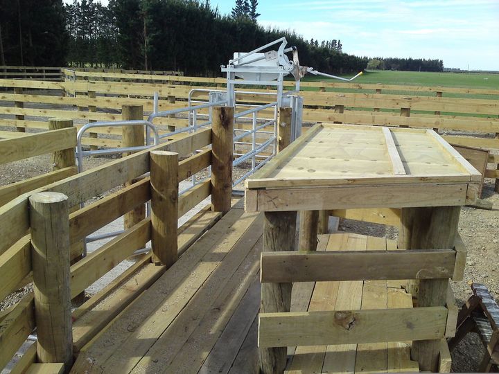 Cattle yards