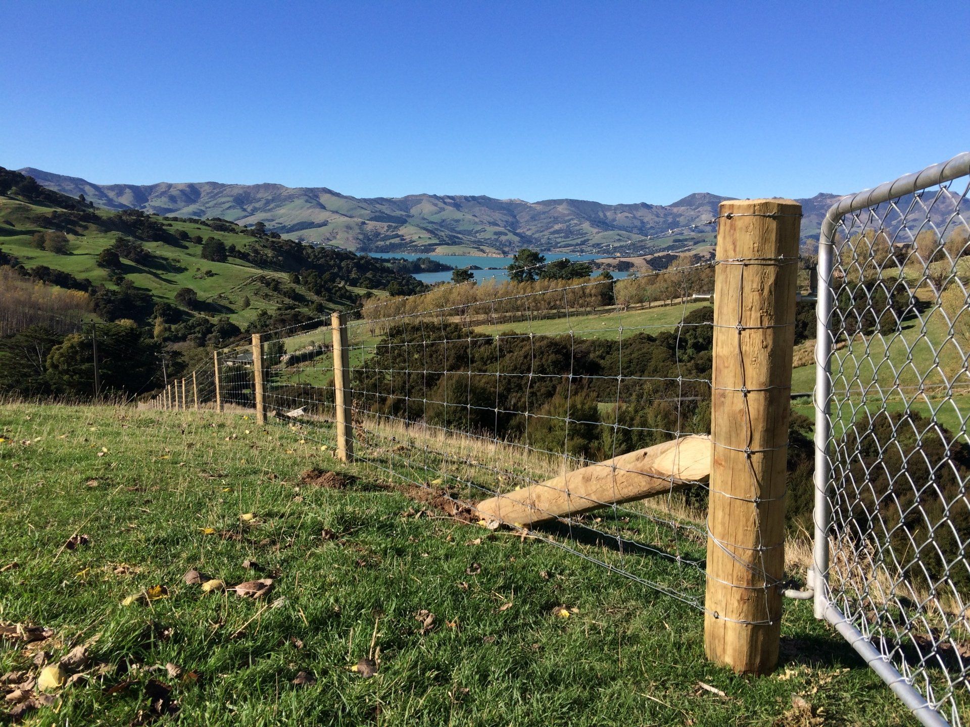 Netting fence Sheep fence Cattle fence Farm fence