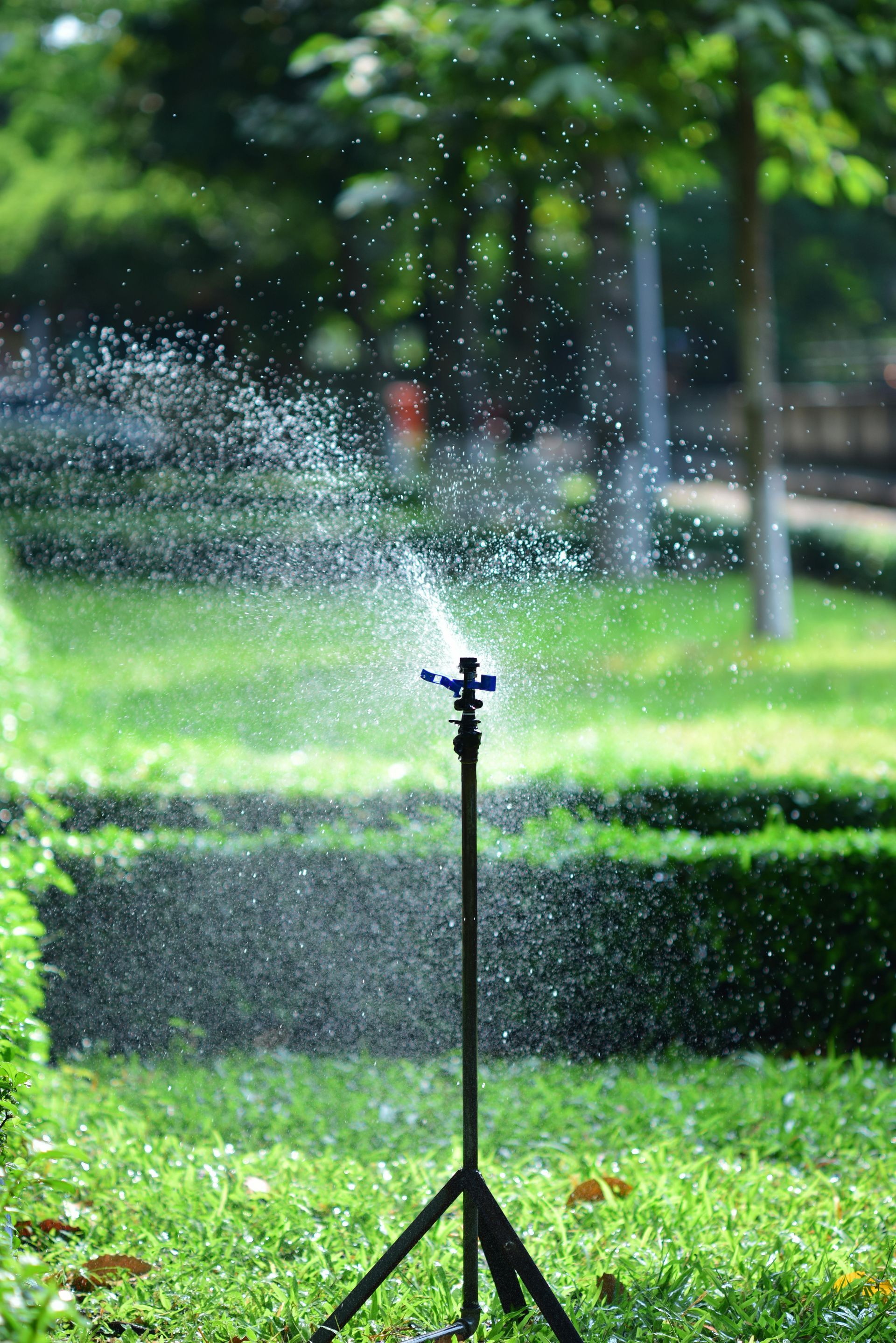 Sprinkler watering a green lawn in a park, spraying water droplets into the air.