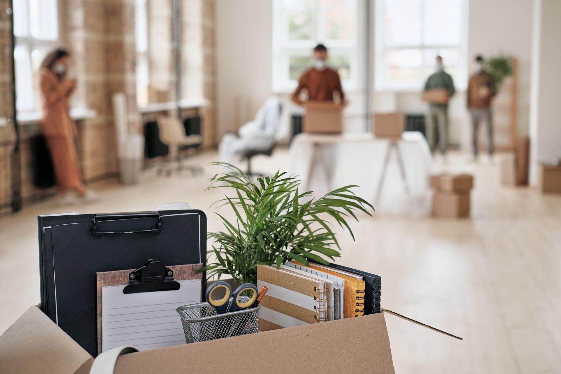 A box filled with office supplies and a plant is in an office.