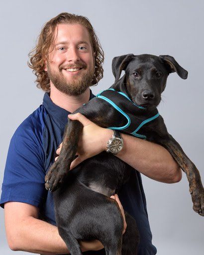 A man in a blue shirt is holding a black dog