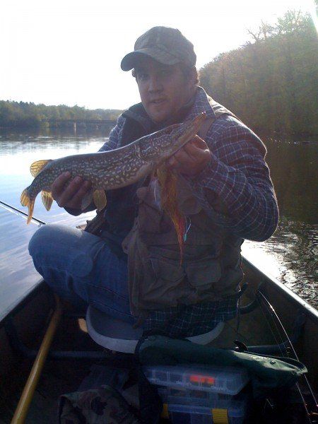 A man in a boat is holding a large fish
