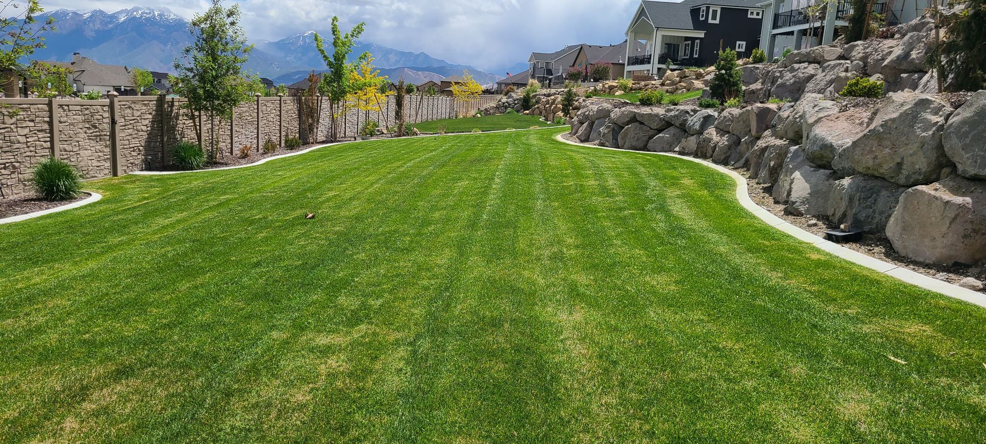 A stump grinder in a yard with a freshly ground stump, surrounded by grass, trees, and a white fence.