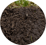 A close up of a pile of dirt and grass in a circle.