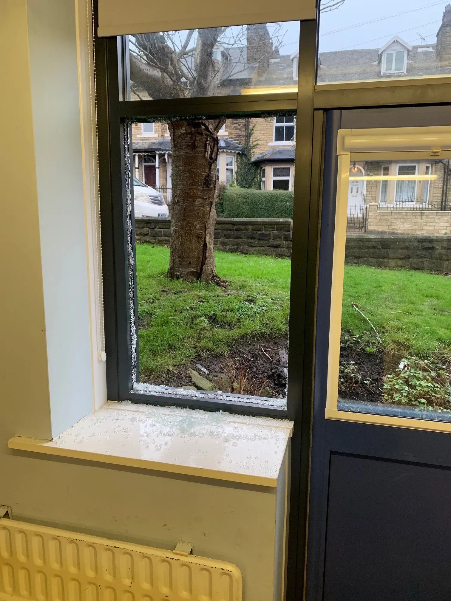 View through a window, showing a tree and green lawn outside. A radiator is below the window.