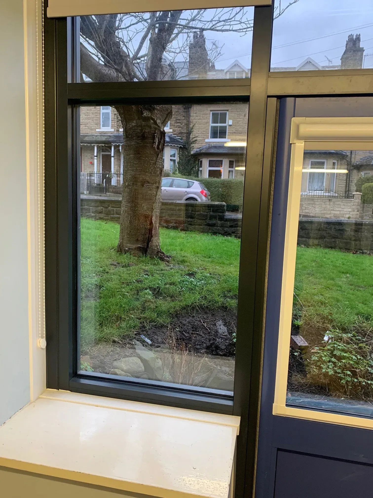 Window view of a tree, houses, and green lawn. Grey window frame, white trim and sill. Cloudy day.