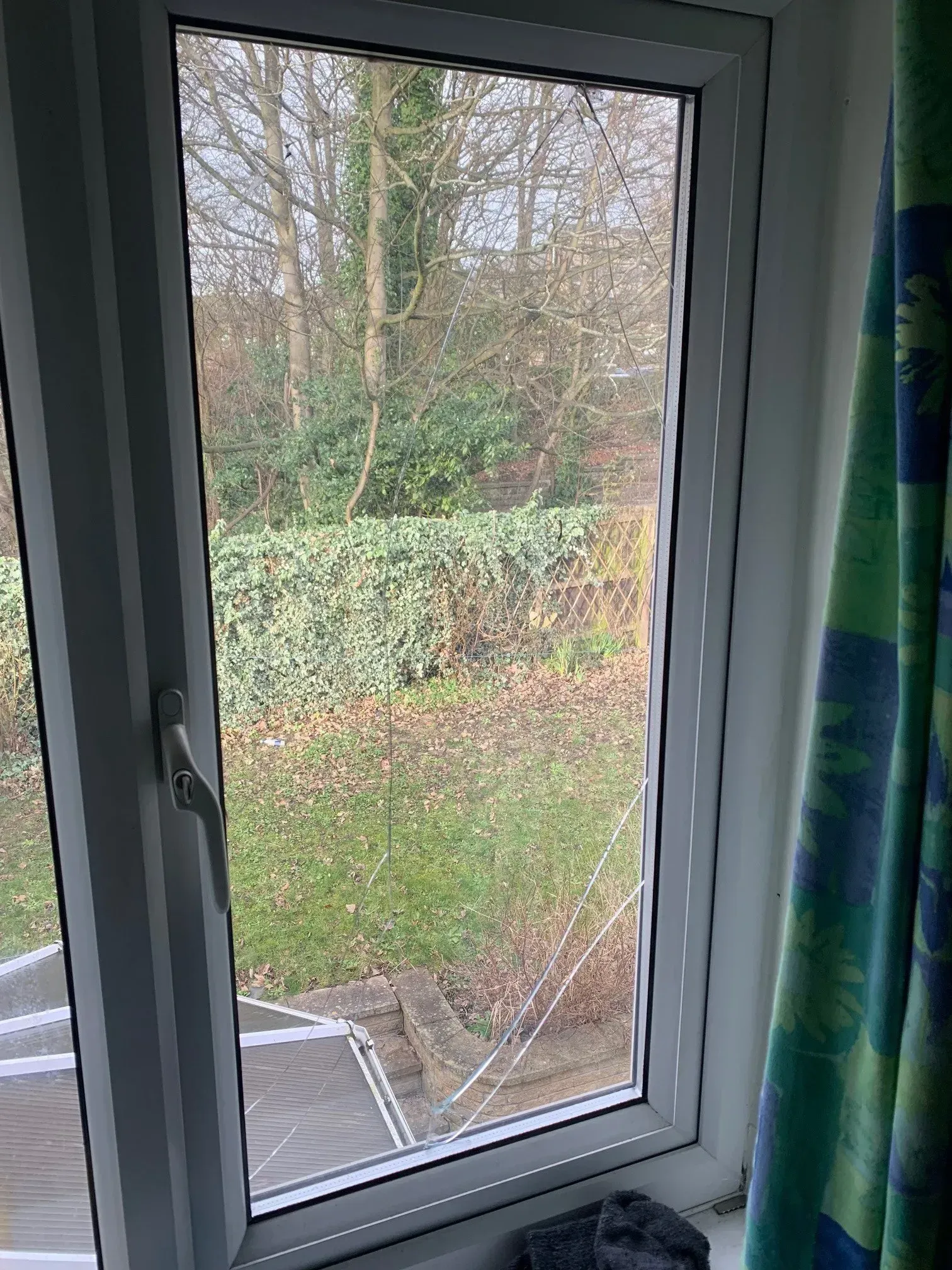White window, partially open, looks out onto a yard with trees and foliage.