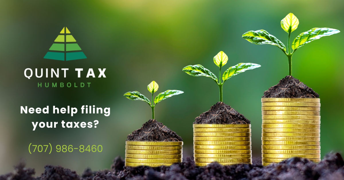 Tax Professional in Southern Humboldt