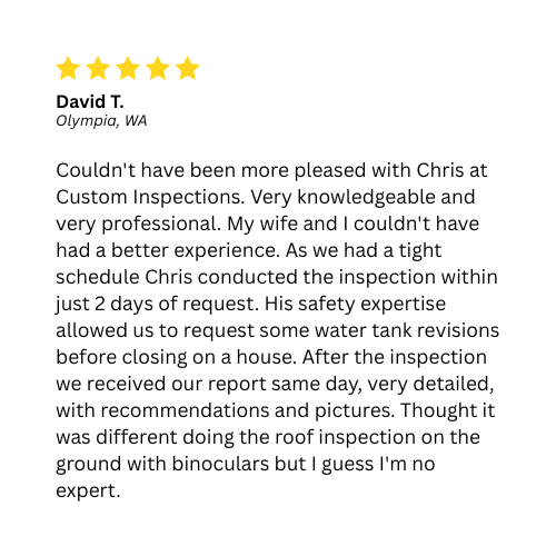 Review of Custom Inspections by David T. praises Chris's knowledge, professionalism, and quick service. Mentions ground roof inspection with binoculars.