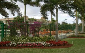 Landscape Design With Palm Trees — Coconut Creek, Fl — Leserra's Nursery