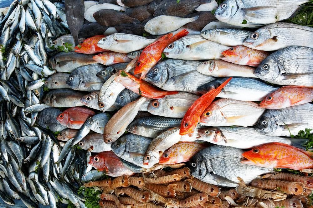 Fresh Fish At The Market — Swifty's Lismore Seafood Market In Lismore, NSW
