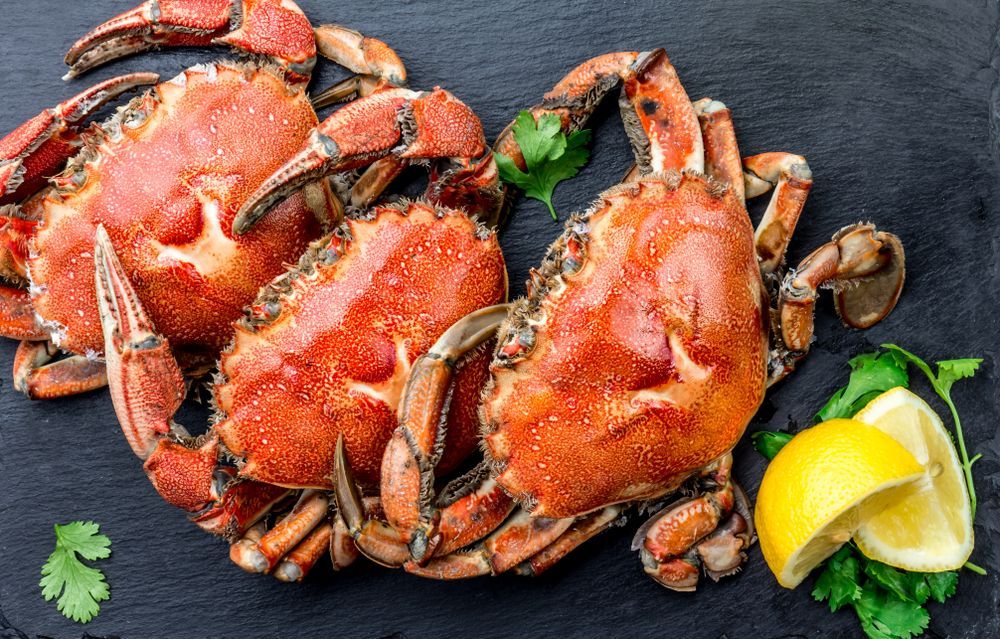Cooked Crabs On Black Plate — Swifty's Lismore Seafood Market In Lismore, NSW
