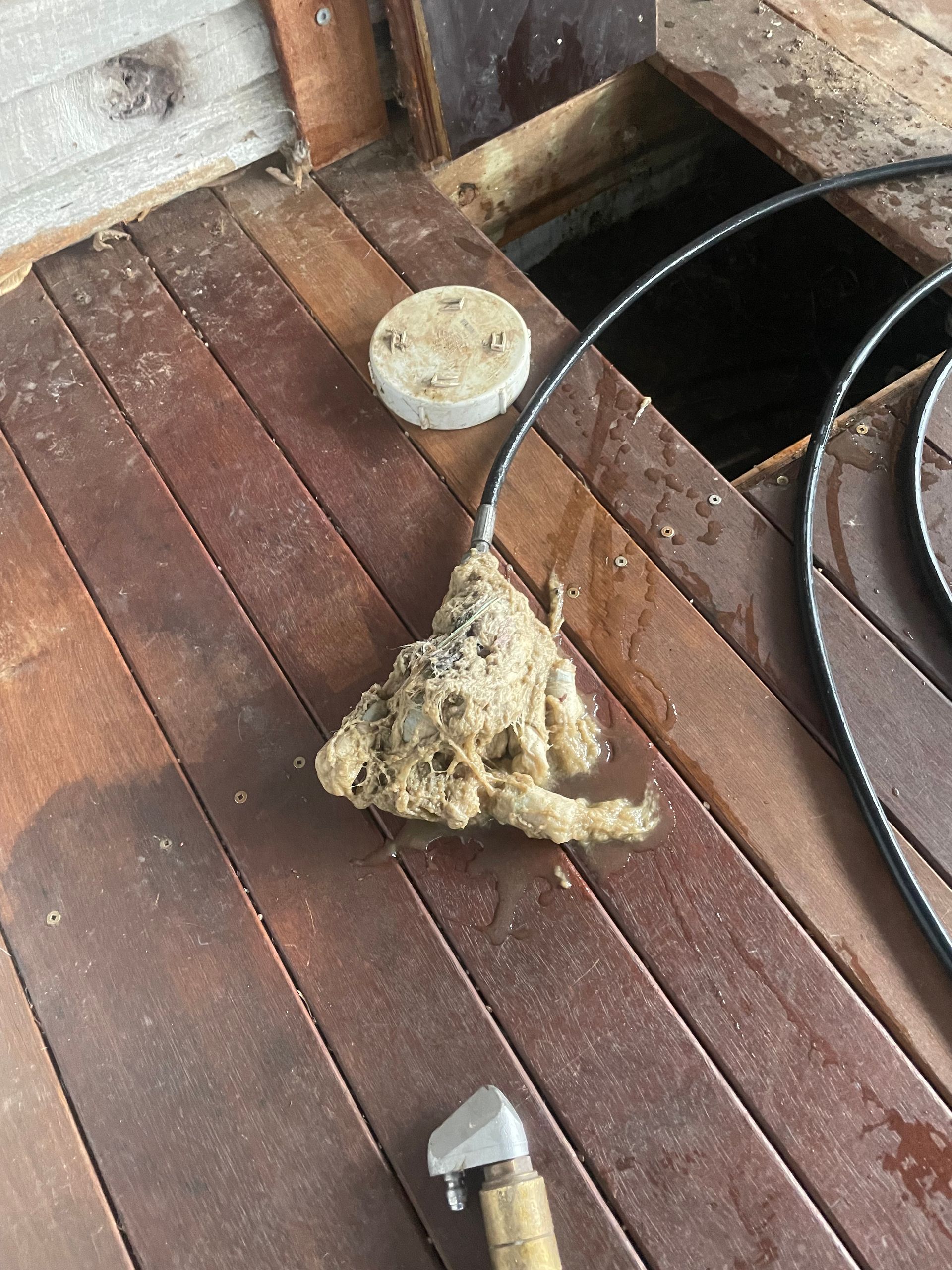 There is a Hole in the Wall in the Bathroom — Smooth Flow Plumbing Cairns in Cairns City, QLD 