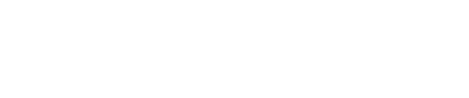 white logo for Nirvana Permanent Makeup