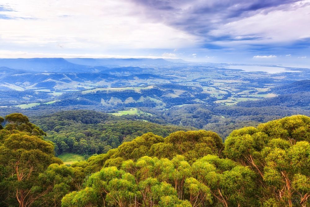 A view of a lush green forest with mountains in the background — Truckserv In Southern Highlands, NSW