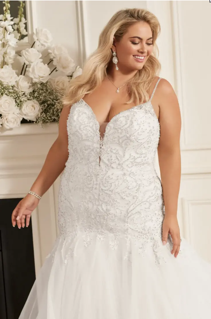 Fifi's Bridal Sophia Tolli Beaded Wedding Dress With Sparkle