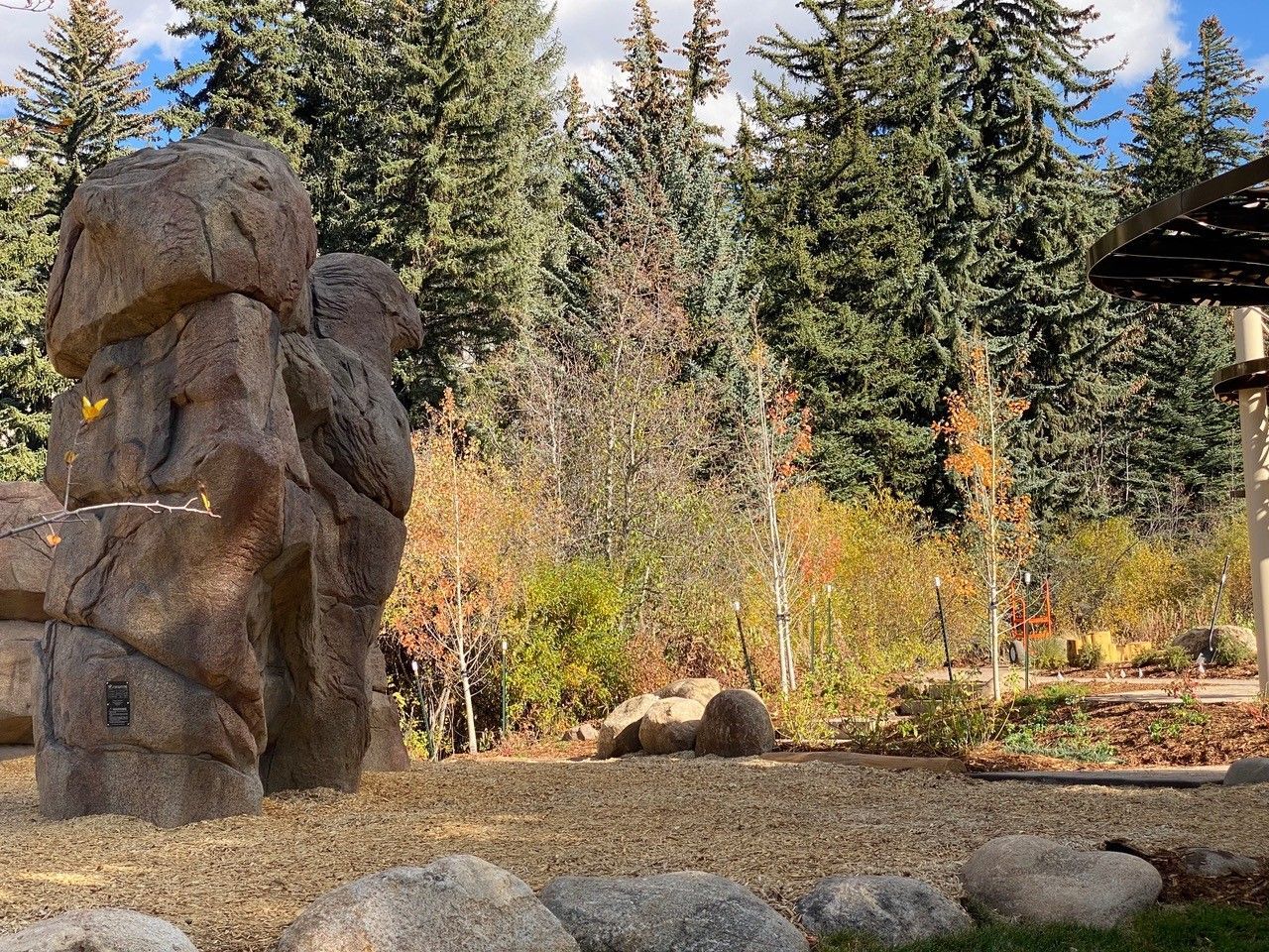 A large rock in the middle of a forest with trees in the background