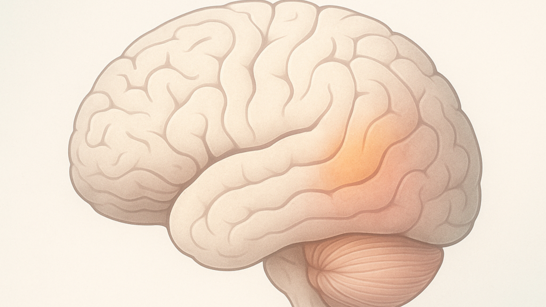 Ilustração estilizada do cérebro humano com regiões afetadas pela Doença de Alzheimer destacadas em cores suaves