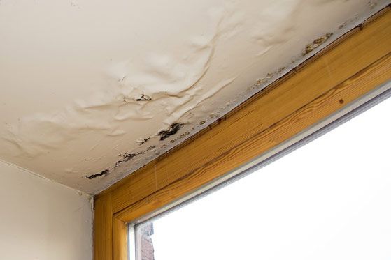 Water Damaged Ceiling Next to Window — Ceiling Replacement in Dubbo
