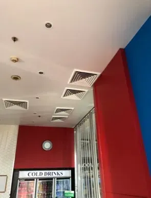 Ceiling After the Replacement — Painters in Parkes