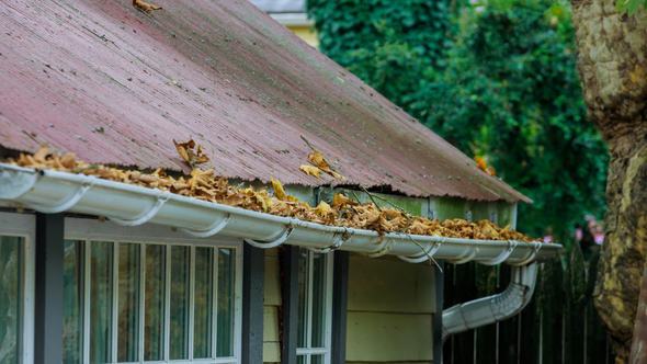 A house with a gutter filled with leaves on the roof.