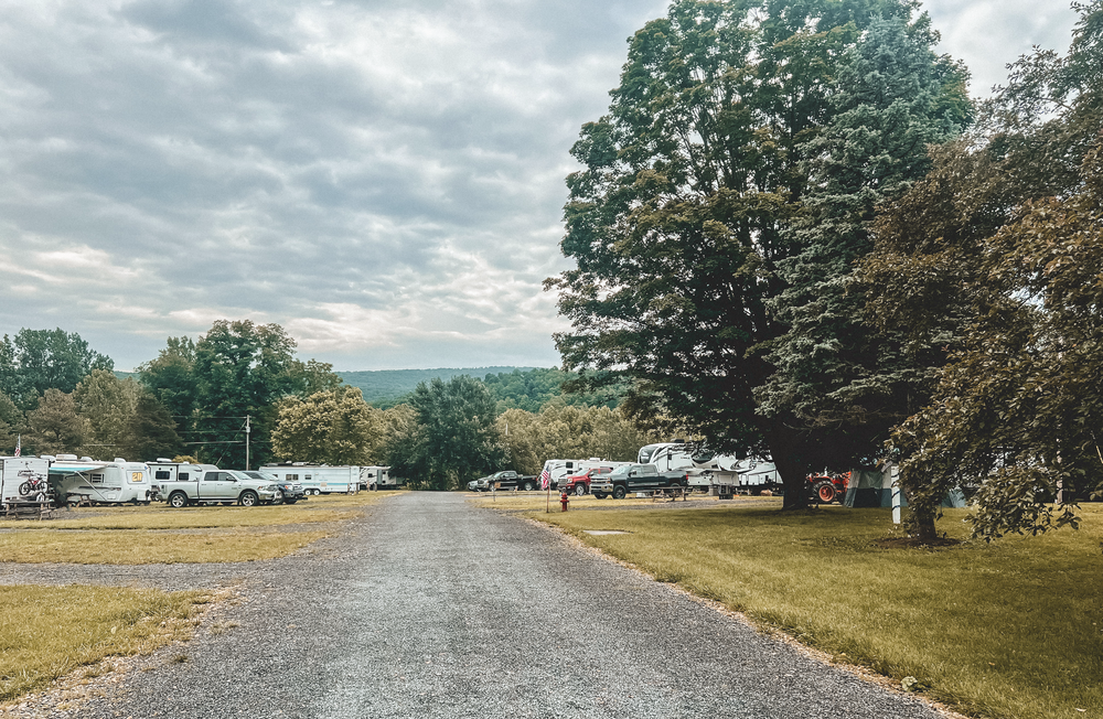 A gravel road going through a park with a lot of rvs parked on the side of it.