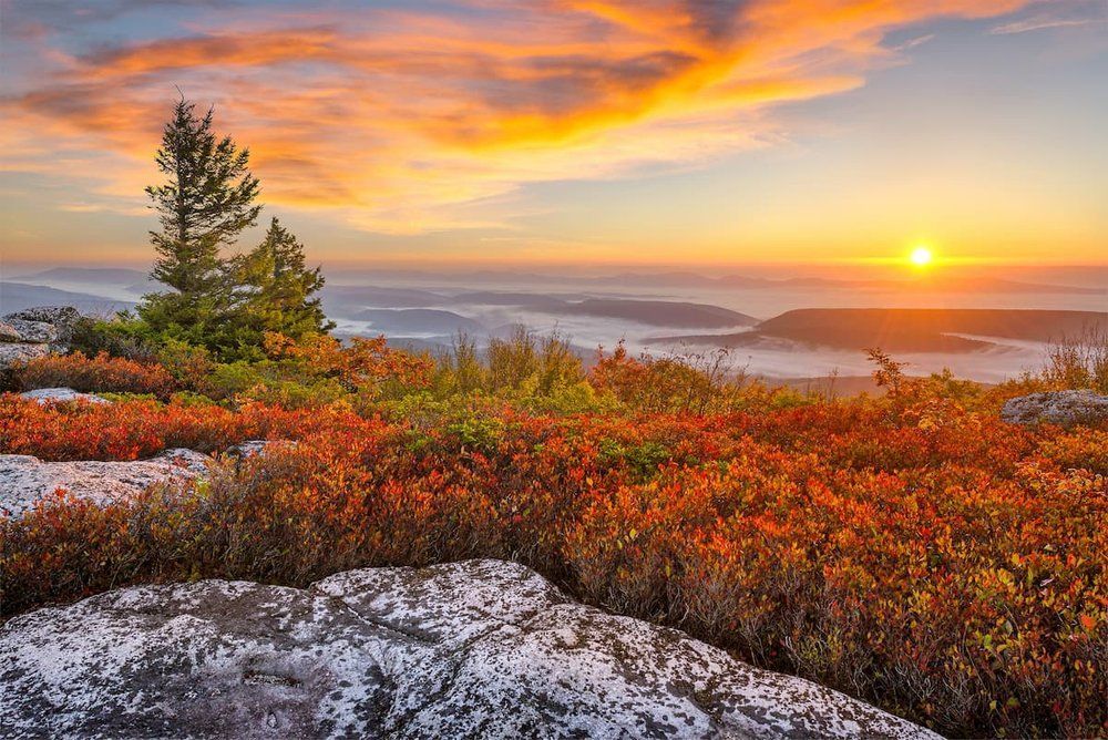 A sunset over a mountain with trees and bushes in the foreground.