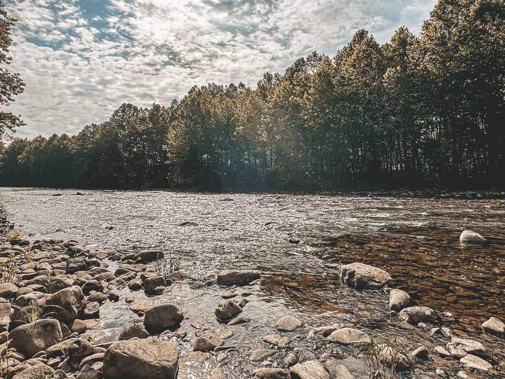 A river surrounded by trees and rocks on a sunny day.