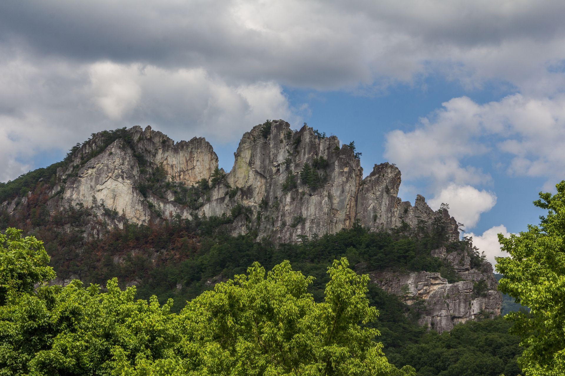 Rocky mountain peak with sparse trees against cloudy sky, framed by green treetops.