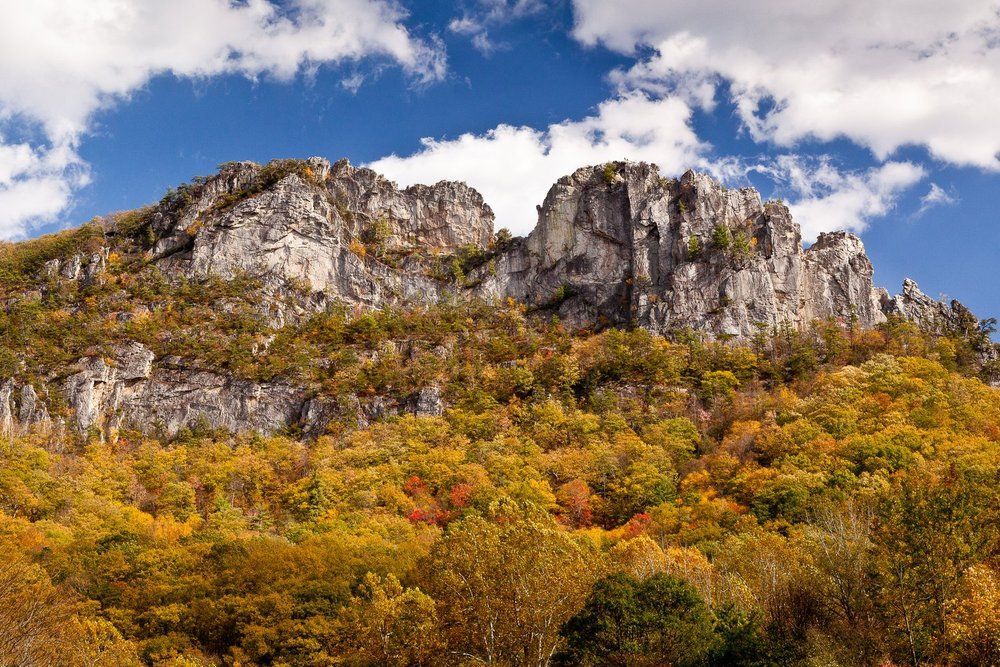 A mountain covered in trees with a blue sky in the background.