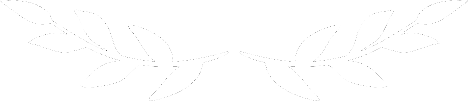 A drawing of a butterfly 's wings on a white background.