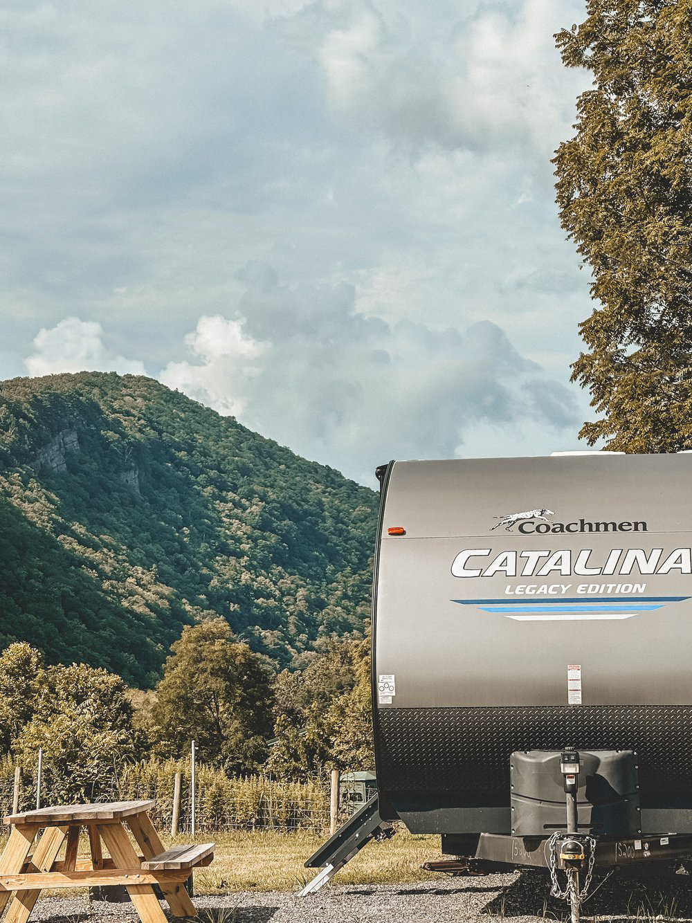 A catalina trailer is parked in a campground with mountains in the background.