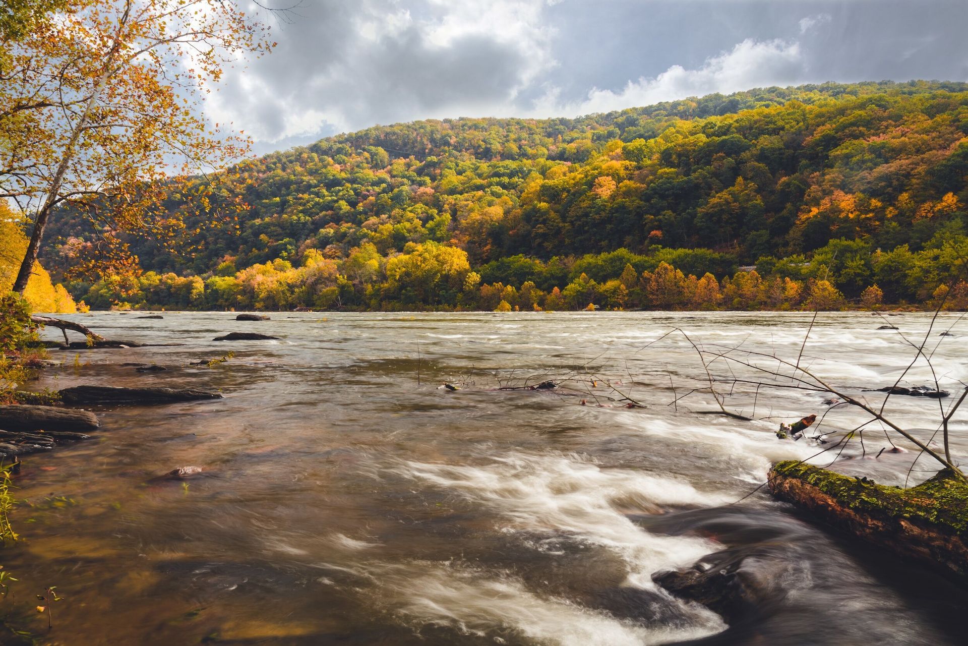 A river flowing through a forest with trees on the shore.