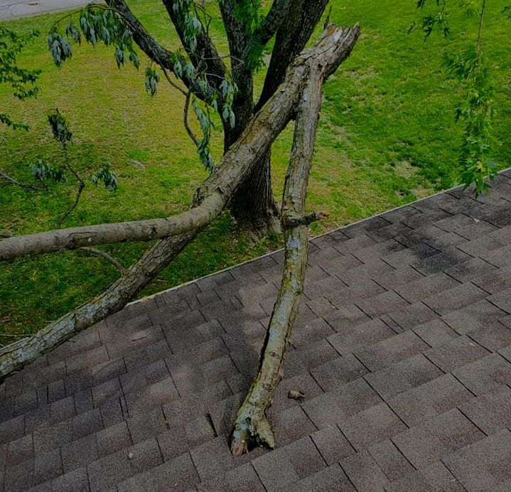 Tree fallen on a house