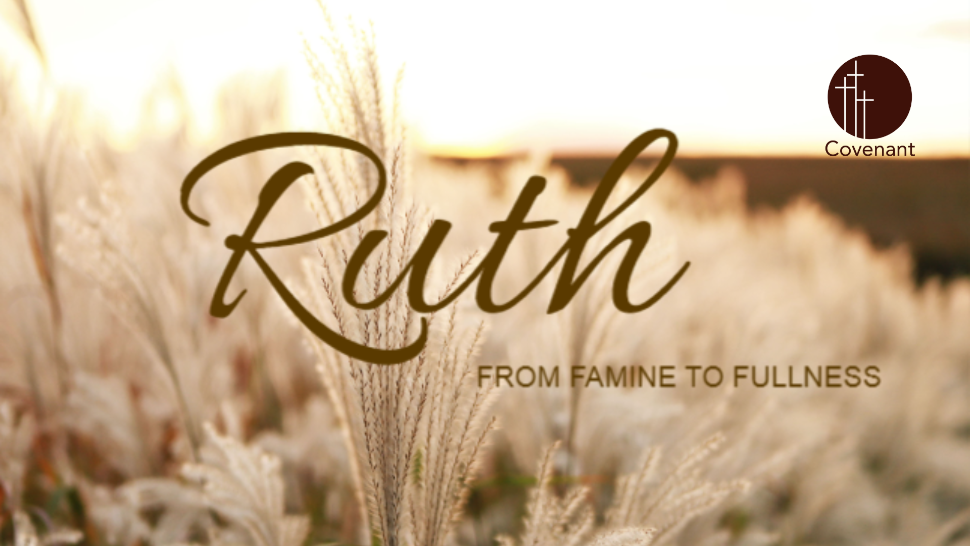 Ruth sermon series