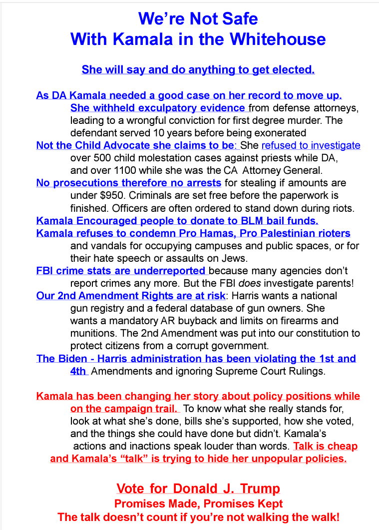 Protest flyer with blue and red text criticizing the White House and Donald Trump, on a white background