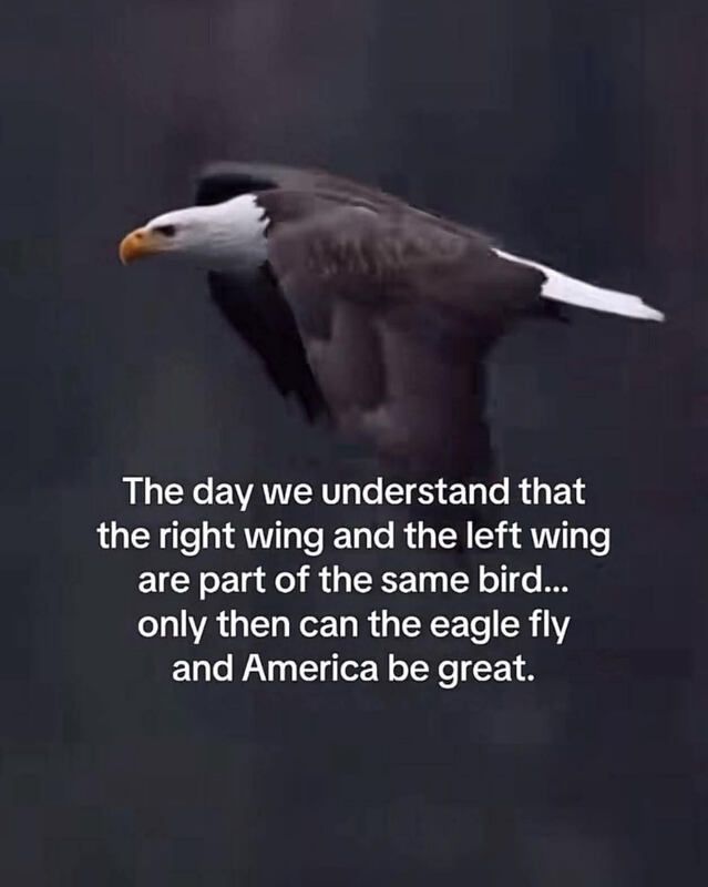Eagle in flight with quote: “The right wing and the left wing are part of the same bird.”