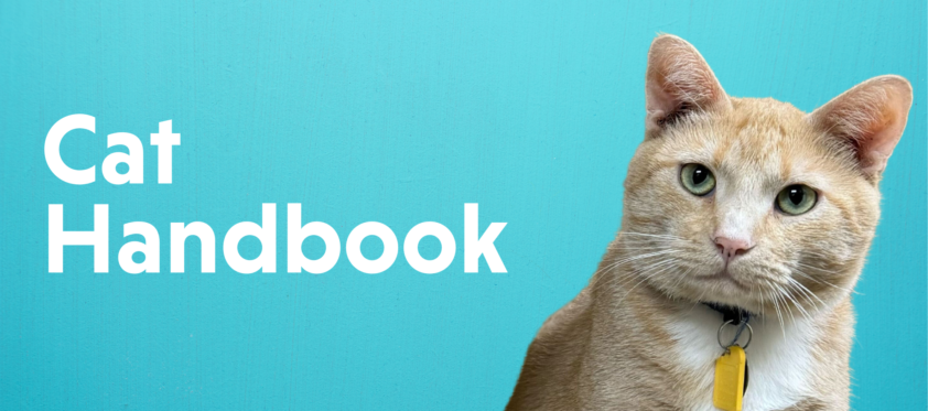 A cat is sitting in front of a blue background with the words cat handbook.