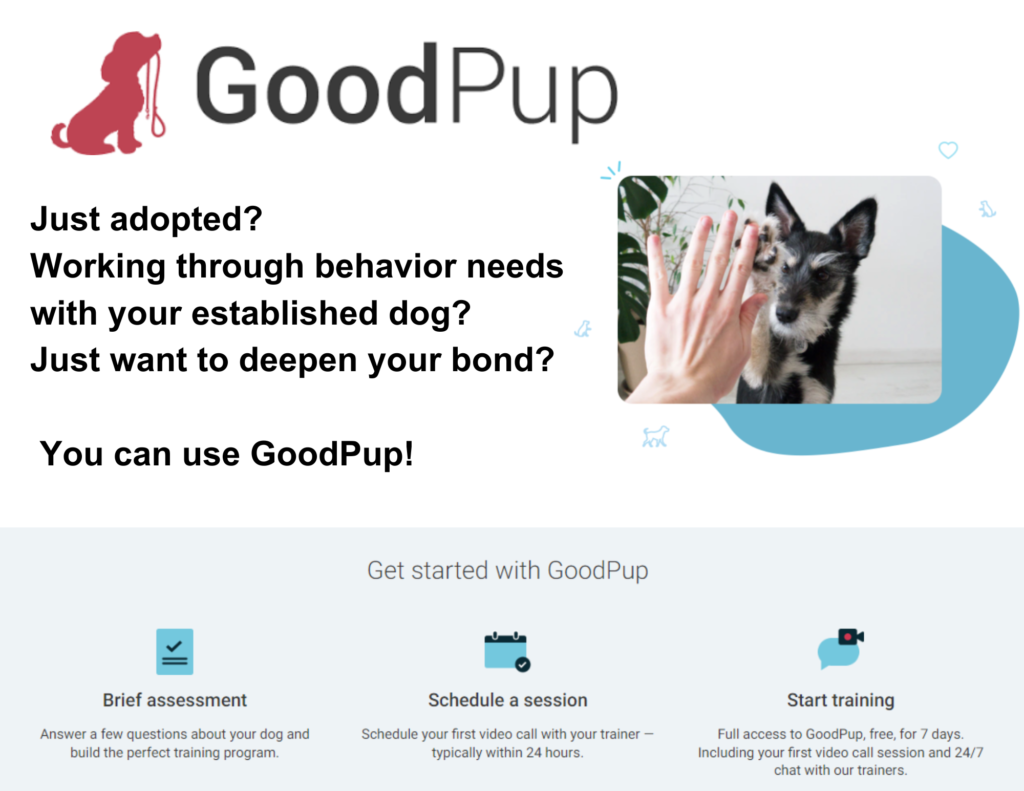 A screenshot of a website for a company called goodpup.