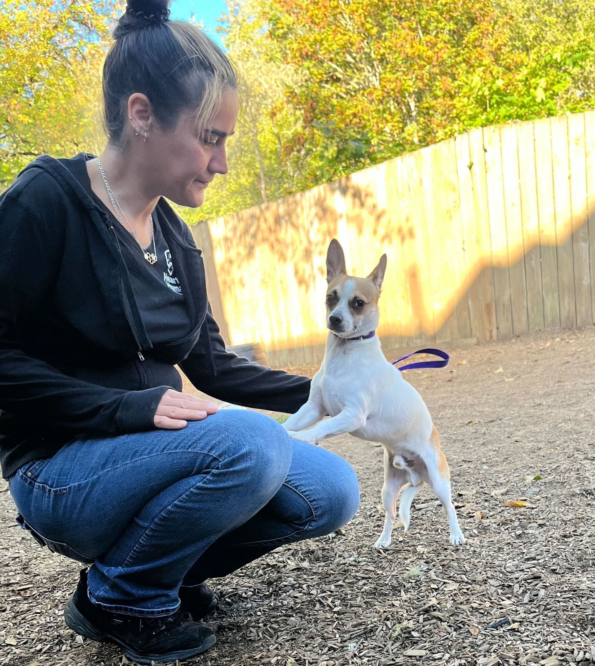 A woman is kneeling down next to a small white dog on a leash.