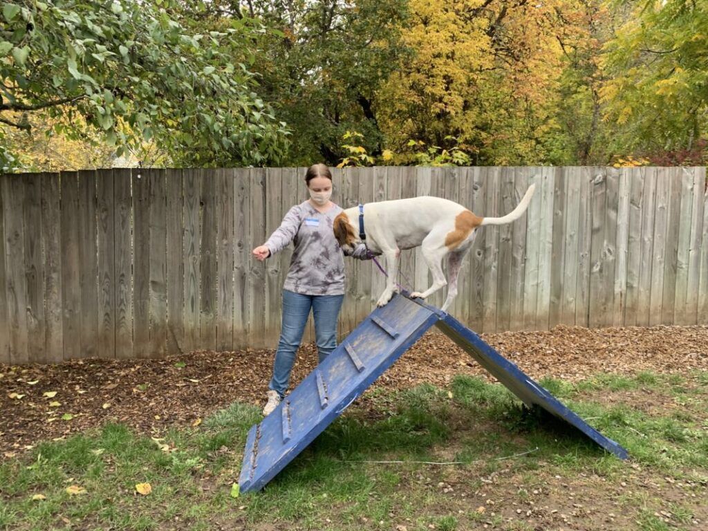 A woman is standing next to a dog on a ramp.