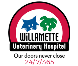 The logo for willamette veterinary hospital shows a cat and a dog