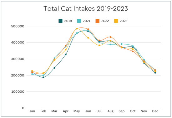 A graph showing the total cat intake from 2019 to 2023.