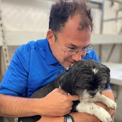 A man in a blue shirt is holding a small black and white dog.