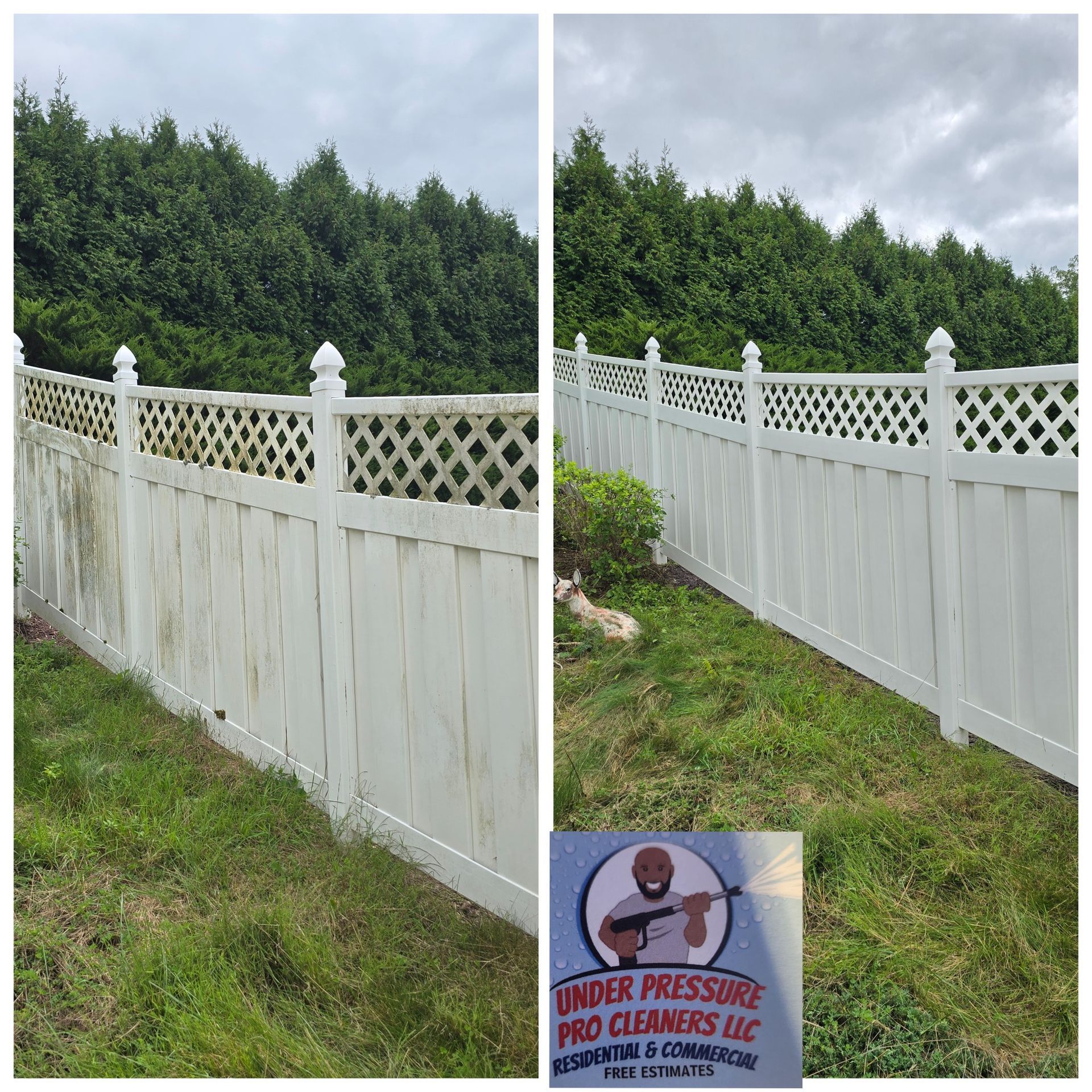 A before and after comparison of a vinyl fence cleaned by Under Pressure Pro Cleaners, showing dirt removal from the white.