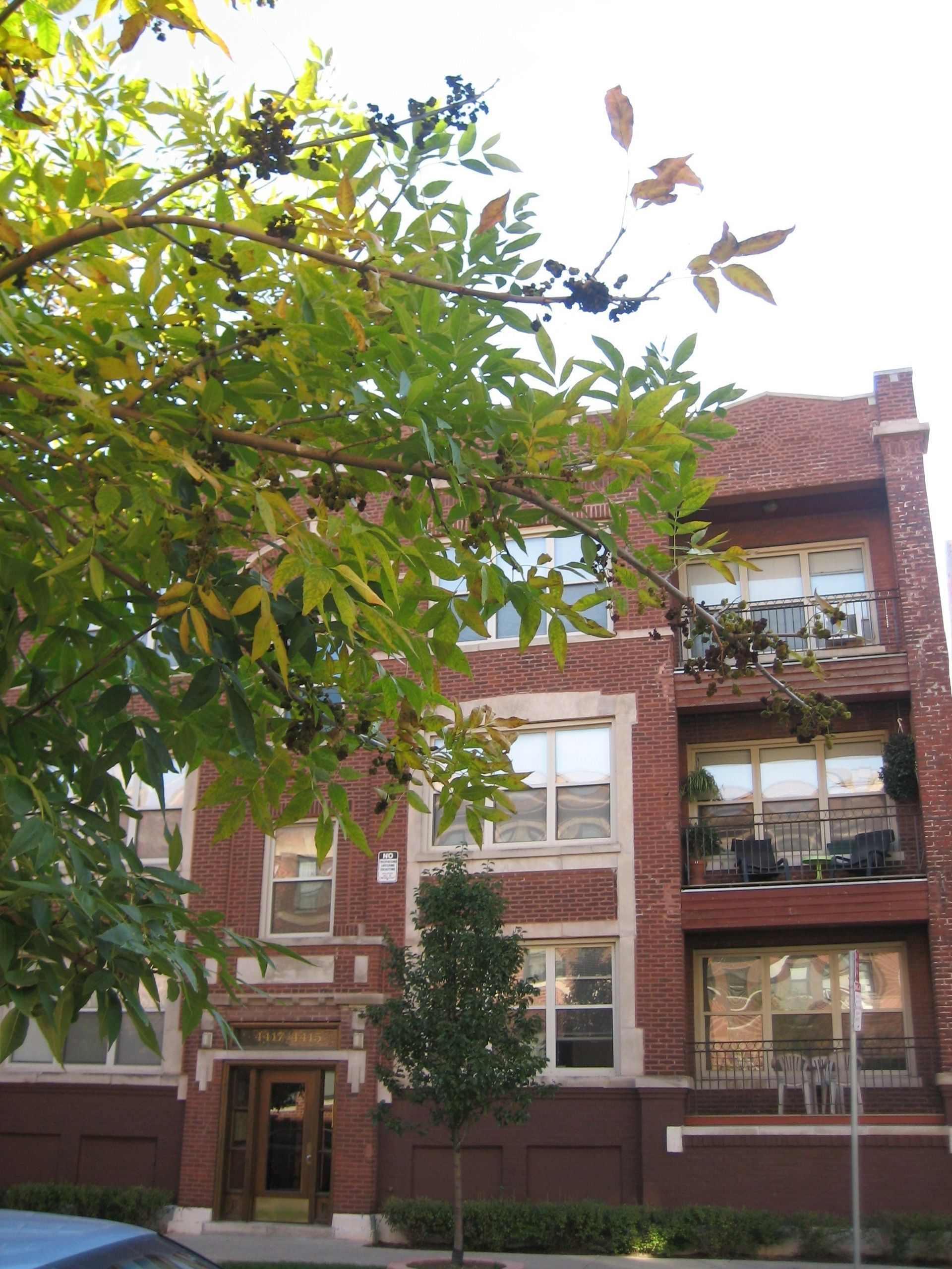 A brick building with a tree in front of it